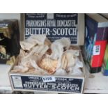A Parkinson's Royal Doncaster butterscotch box containing shells