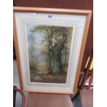 Framed and glazed print of a woodland and river scene