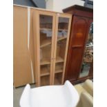 Modern glazed 2 door shelving unit