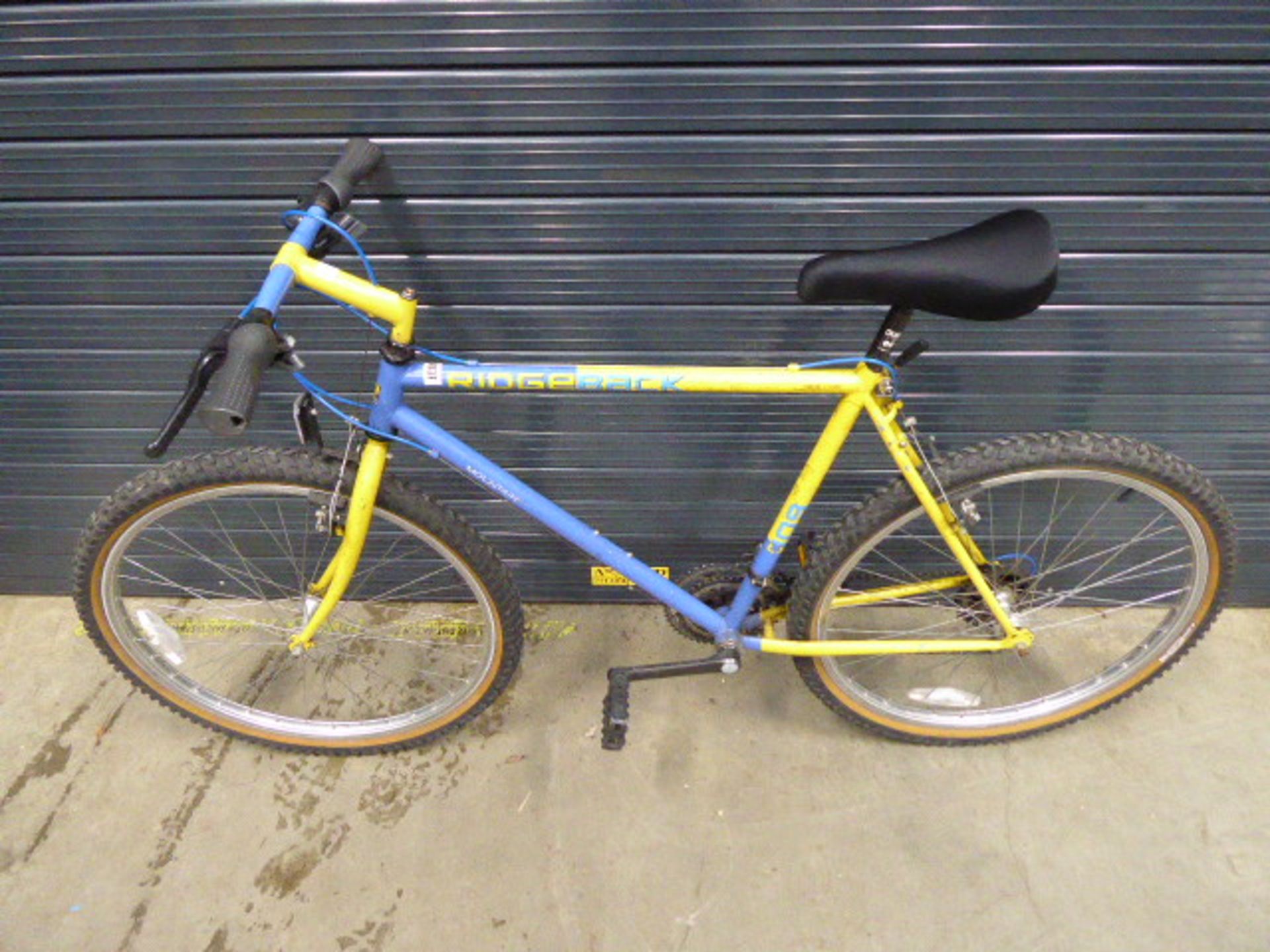 Ridgeback mountain bike in blue and yellow