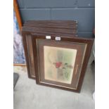 8 framed and glazed comical Alland hunting and riding prints