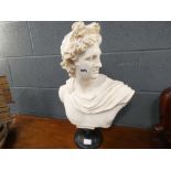 Alabaster classical Roman style bust of Apollo