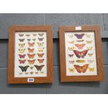 Pair of butterfly prints