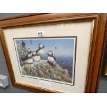 (4) Limited edition print with puffins,signed by Mark Chester