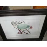 Pair of framed and glazed print fruiting fruit tree and flowers