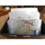 A box containing a quantity of bird patterned greeting cards