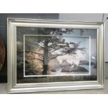 5033 Photographic print of coastal scene with pine trees
