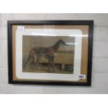 Framed picture of greyhound