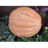 160lb pumpkin