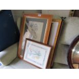 6 framed pictures