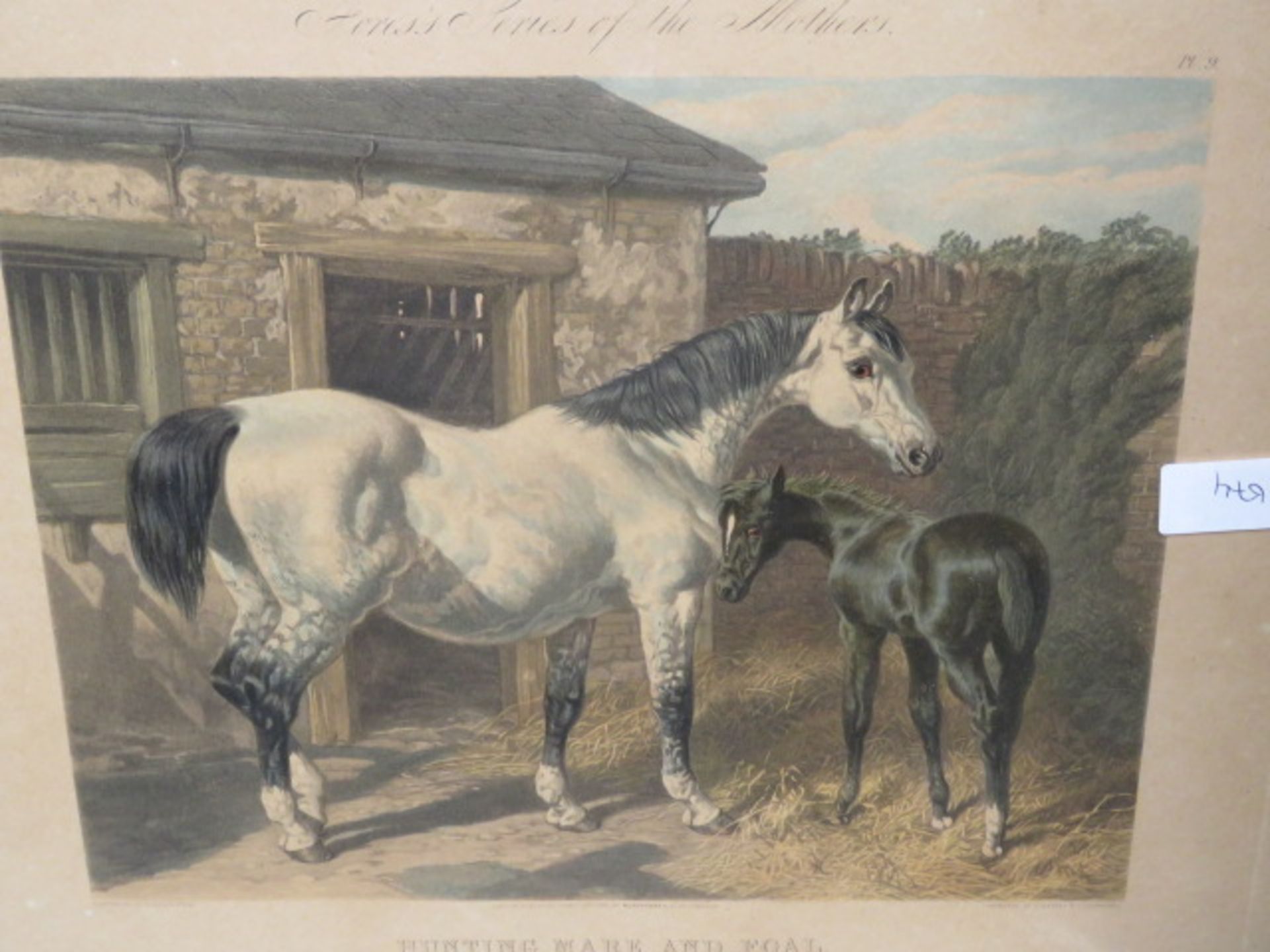 Engraving, horse with foal - Image 2 of 2