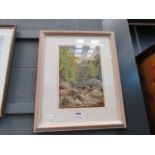 Watercolour, boulders and stream in woodland