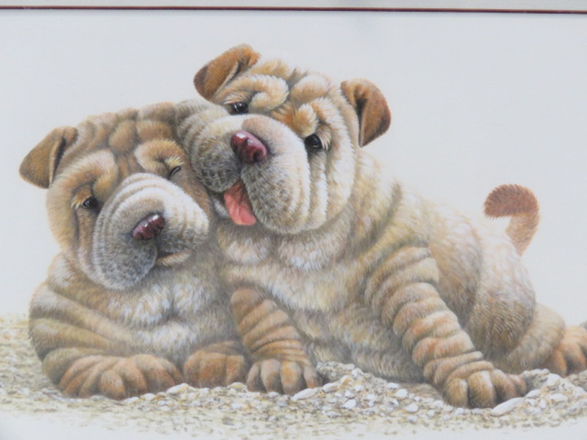 5459 - Framed and glazed print with puppies - Image 2 of 2