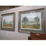 Pair of framed and glazed prints by D. S. Paul