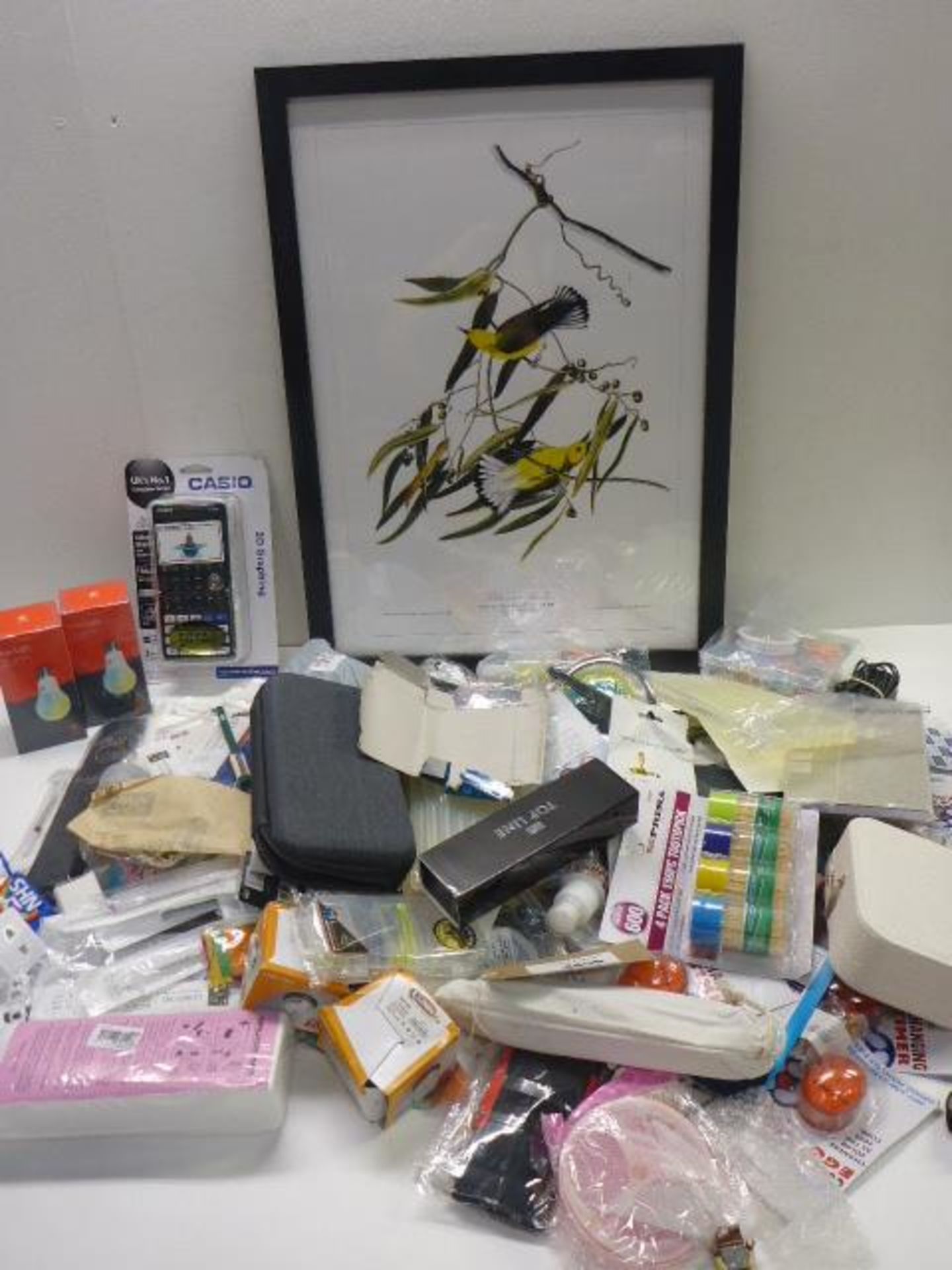 Framed picture of yellow warblers, Casio FX-CG50 calculator, 2 Hive smart light bulbs and