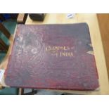 201 (2045RR) - Glimpses of India: a leather bound volume