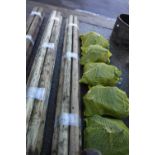 Bundle of 5 heavy duty 9' garden stakes