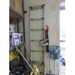 Telescopic ladder