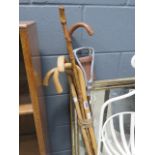 Bundle of walking sticks and a shooting stick