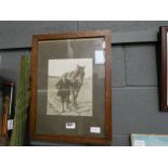 A photograph, cart horse and owner