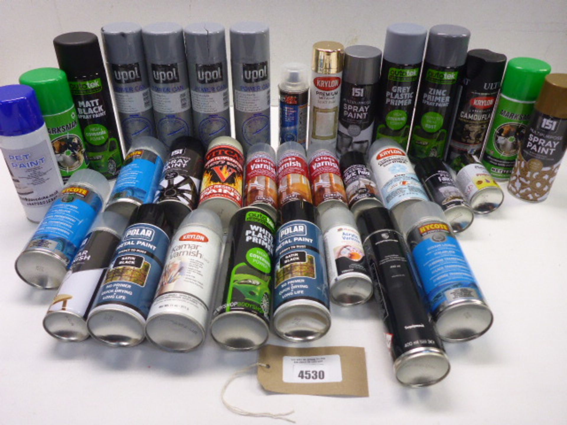 Bag containing assorted paint sprays, varnishes and primers