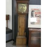 Long case clock with brass dial and oak case