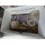 Box containing quartz crystals, a carved wooden dolphin and an ornamental fluffy hedgehog