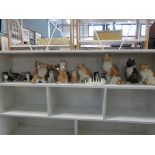 Collection of Winstanley cats