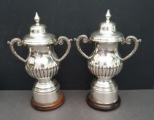 Sporting Memorabilia 2 x EPNS Golf Cups