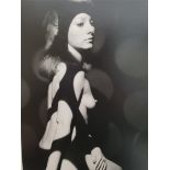 Vintage Collection of 3 Professional Photographs Naked Females