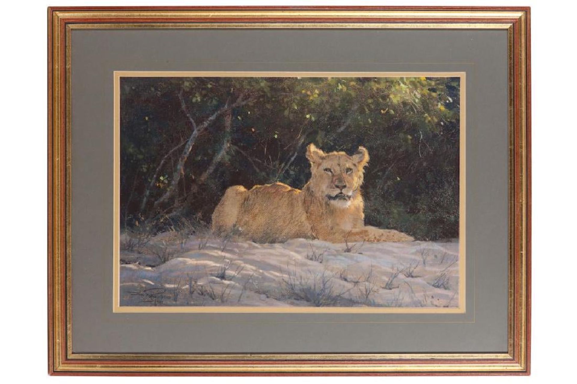 Dino Paravano (Italian 1935) - Lioness in the Shade - Image 2 of 6