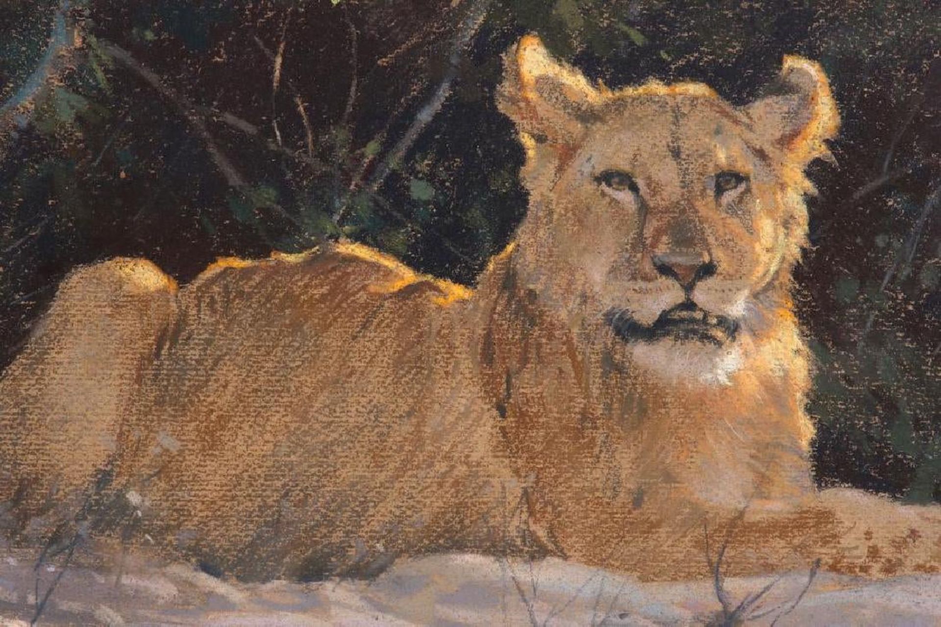 Dino Paravano (Italian 1935) - Lioness in the Shade - Image 4 of 6