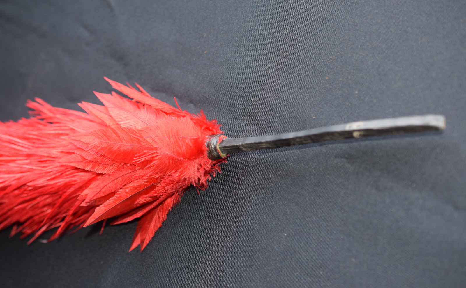 Large Military Red Feather Plume In Container - Image 4 of 4