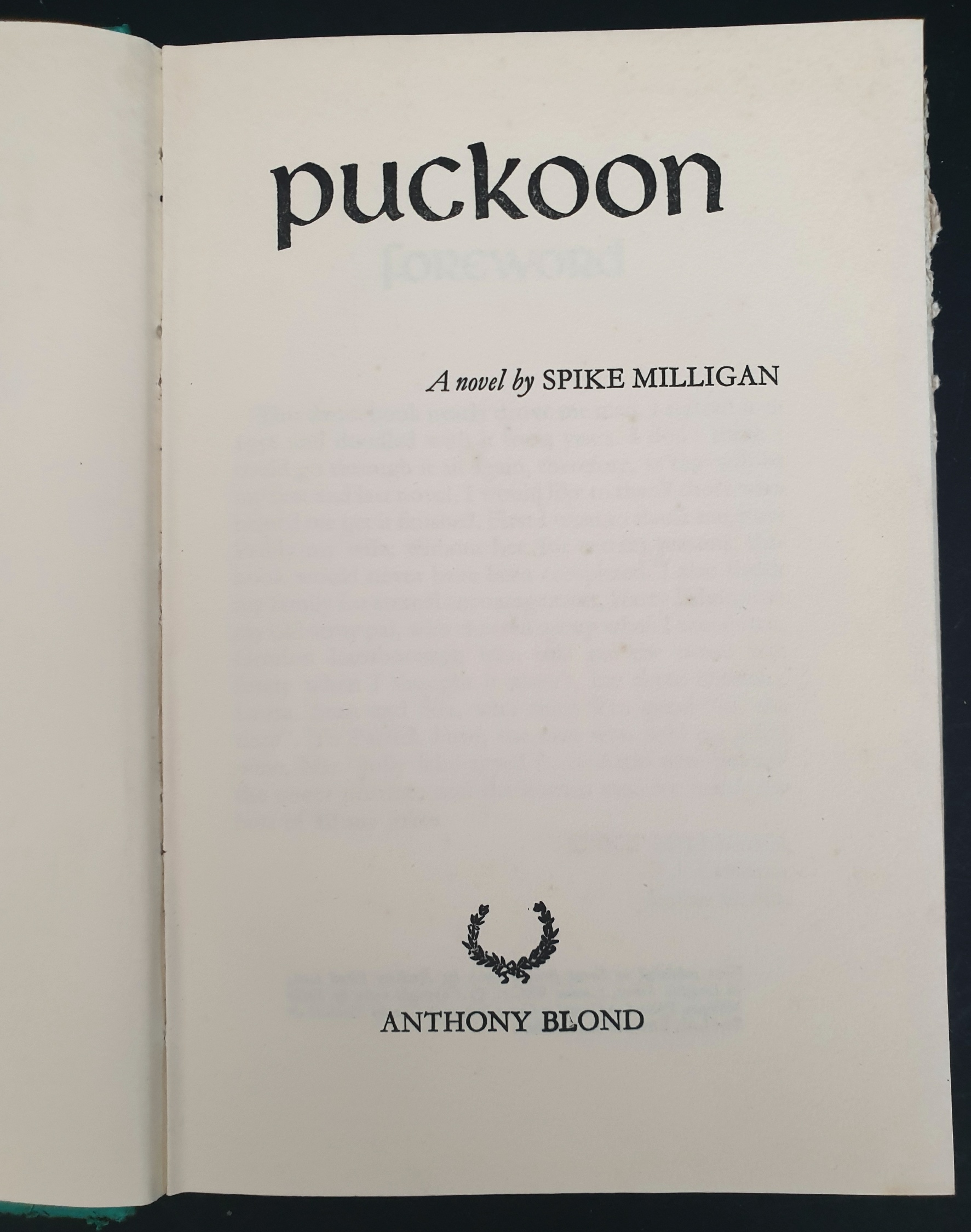 Collectable Books 1st Edition Puckoon Spike Milligan & 1 Other - Image 9 of 13
