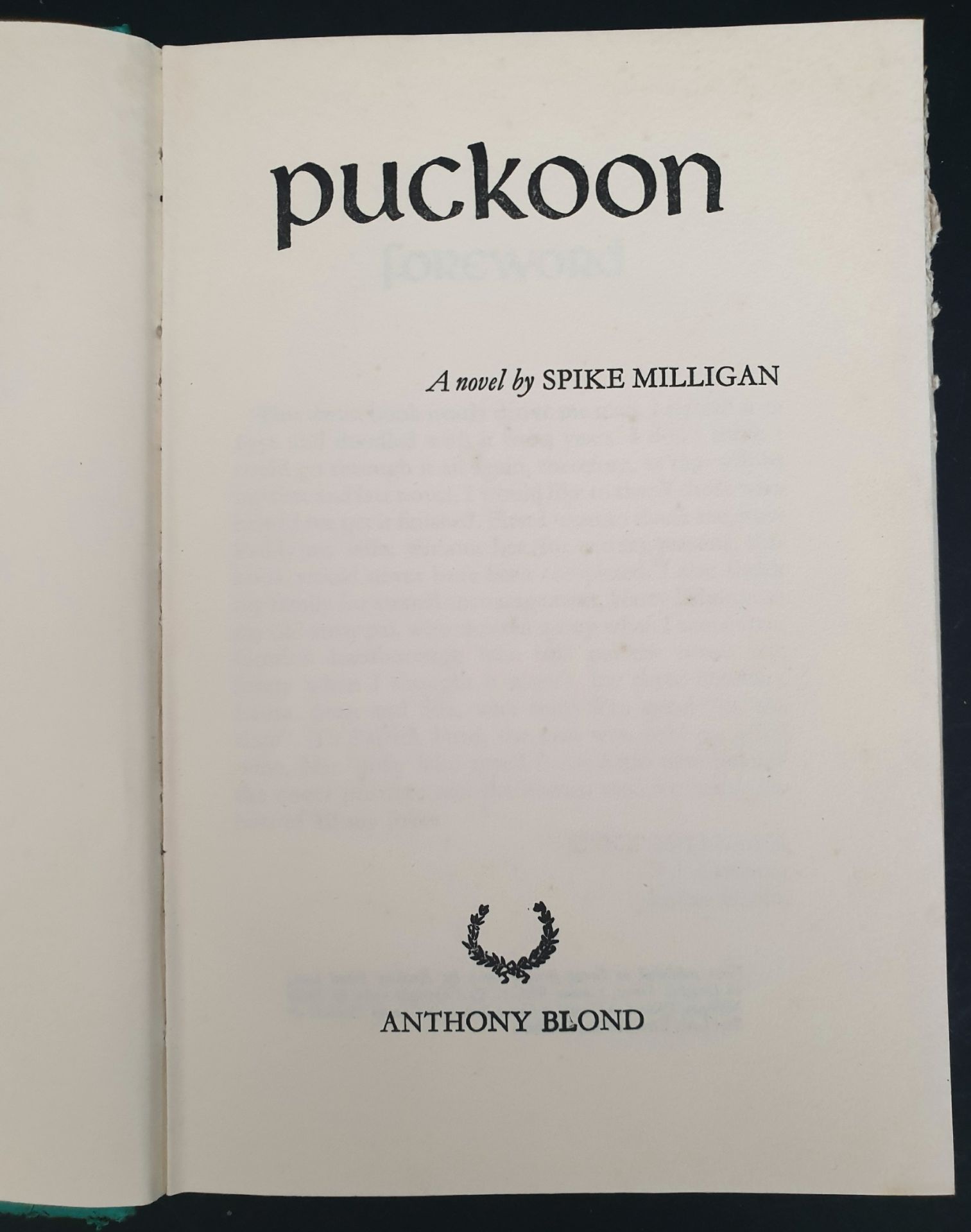 Collectable Books 1st Edition Puckoon Spike Milligan & 1 Other - Image 9 of 13