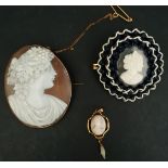 Jewellery 3 x Antique Cameo Brooches
