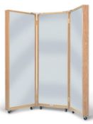 Hausmann triple posture mirror, ideal for a number of uses.