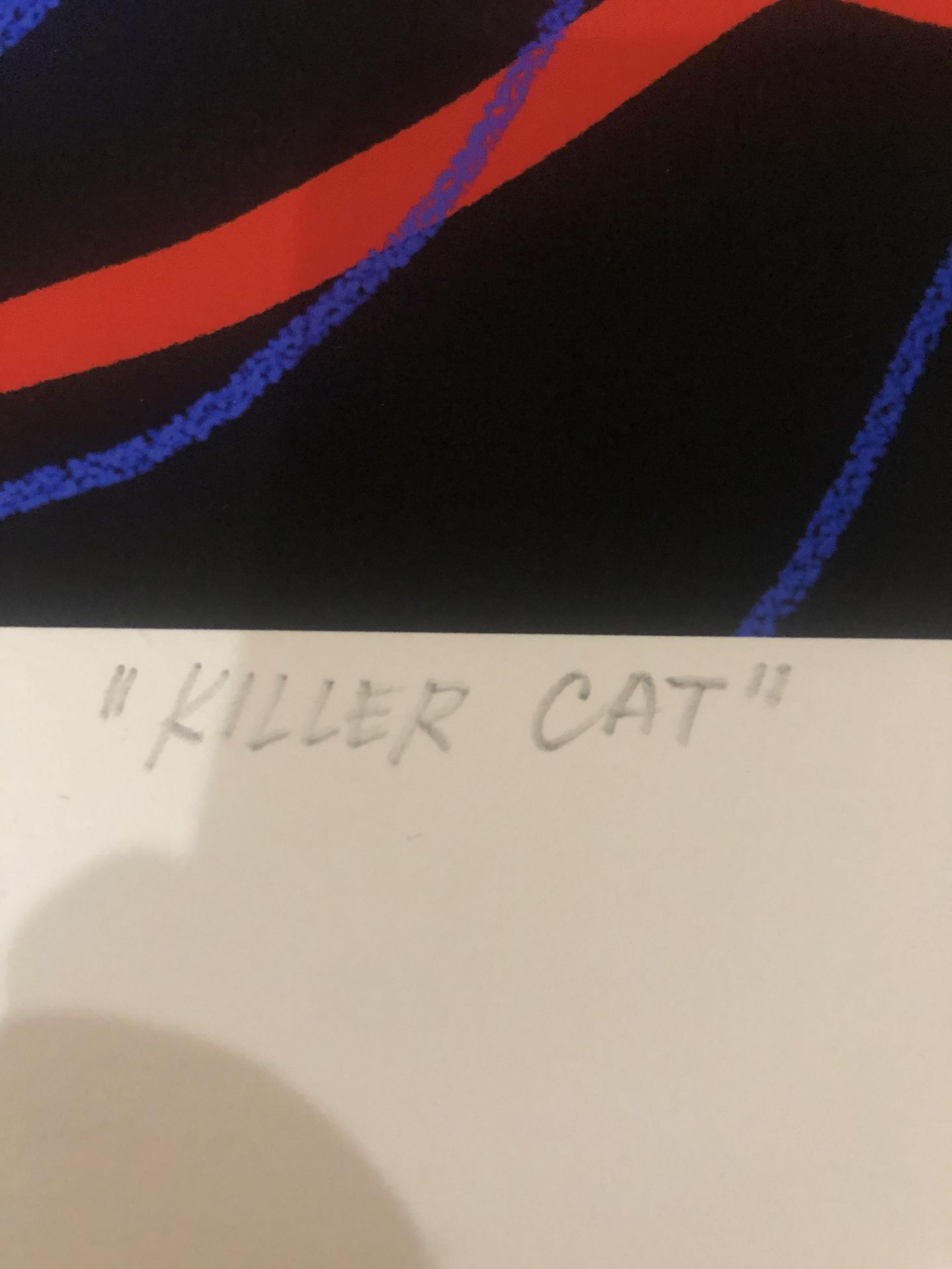 Franz Lang Killer Cat Limited Edition Print - Image 4 of 4