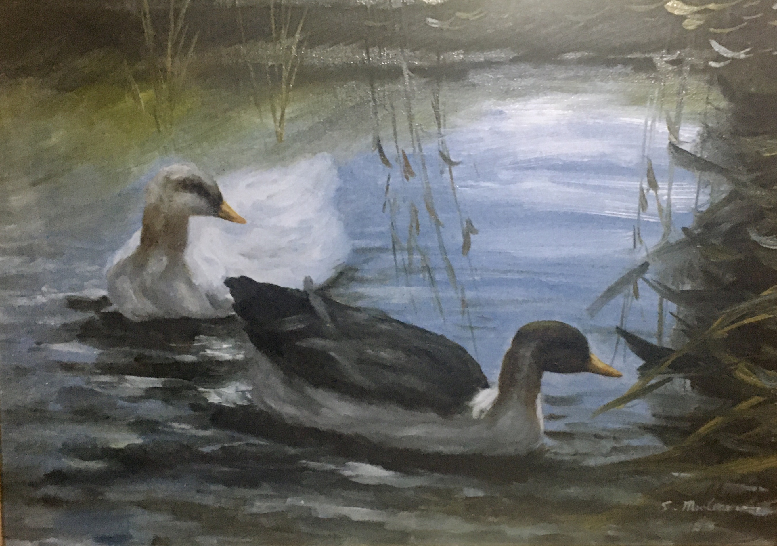 Ducks In A Reed Pond, Oil Painting, Indistinctly Signed