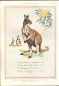 “ Kangaroo” 1952 , Guinness Code G.E. 1829.B