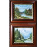 Art 2 x Oil Paintings Country Scenes Both signed