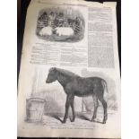 Collection Of Antique Agricultural Shows & Animals Prints. Vol 1 1848-1865