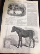 Collection Of Antique Agricultural Shows & Animals Prints. Vol 1 1848-1865