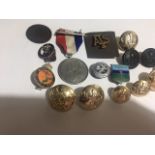 A Collection Of 16 Vintage Military Badges