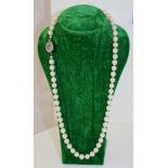 Akoya Pearl Necklace With 19thC. Sapphire Set Clasp
