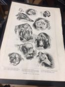 Collection Of Antique Agricultural Shows & Animals Prints. Vol 2 1848-1888