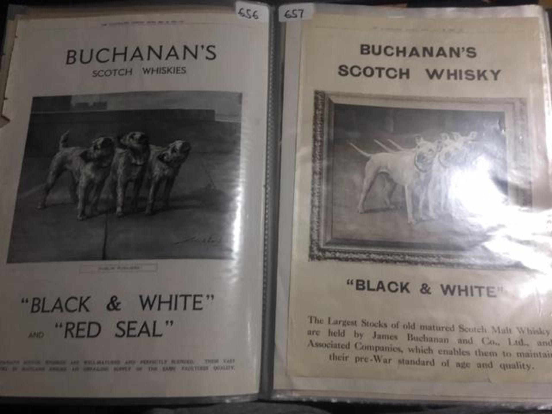 68 Vintage Scotch Whiskey Adverts. John Haig, Johnnie Walker - Image 8 of 28