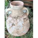 Amphora/Oil Jar