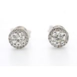 18ct White Gold Single Stone With Halo Setting Earring 0.65 Carats