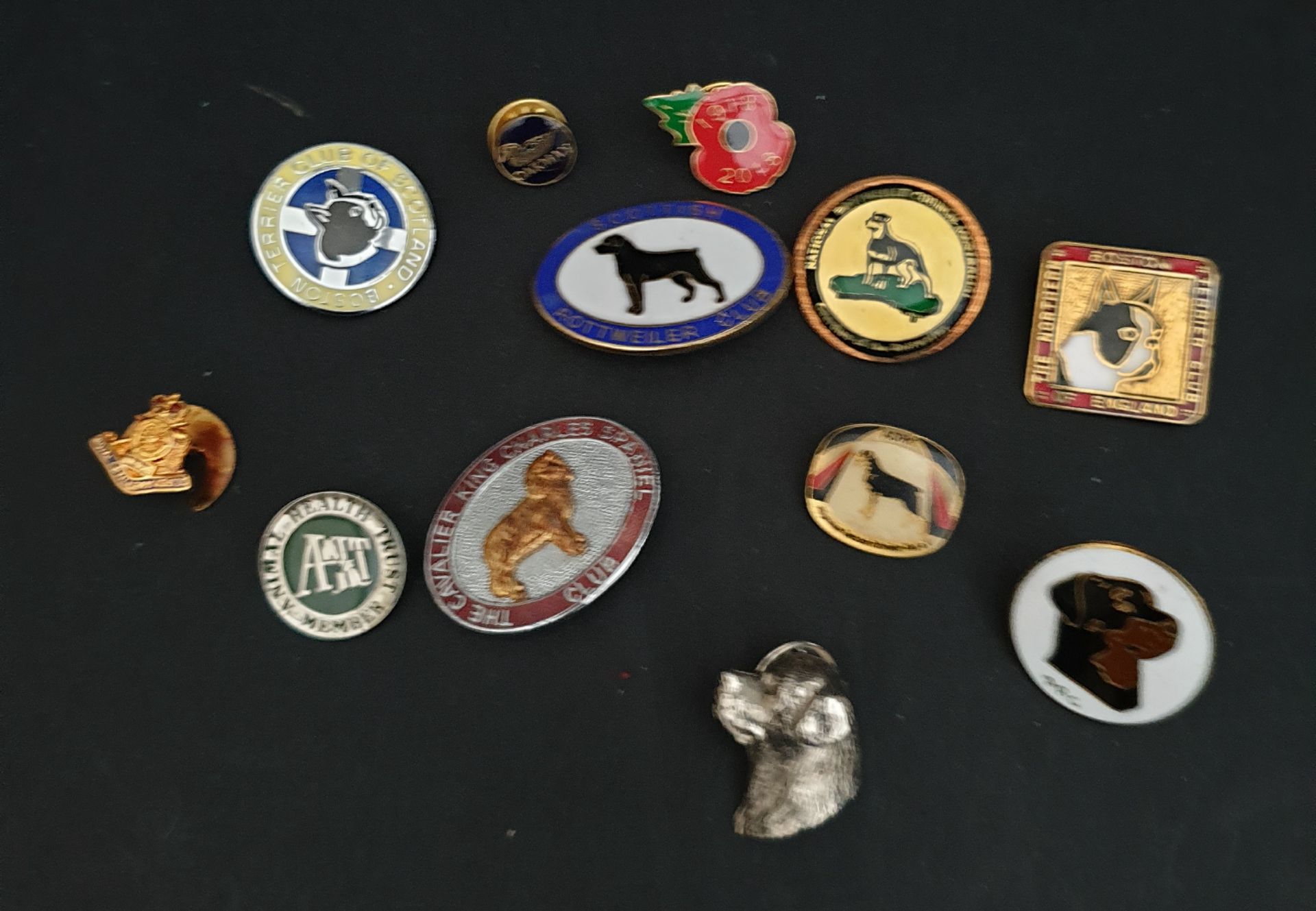 Parcel of 12 Badges and Tie Pins Dogs, Military & Others